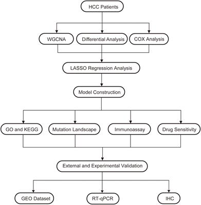 Metabolism-related signatures is correlated with poor prognosis and immune infiltration in hepatocellular carcinoma via multi-omics analysis and basic experiments